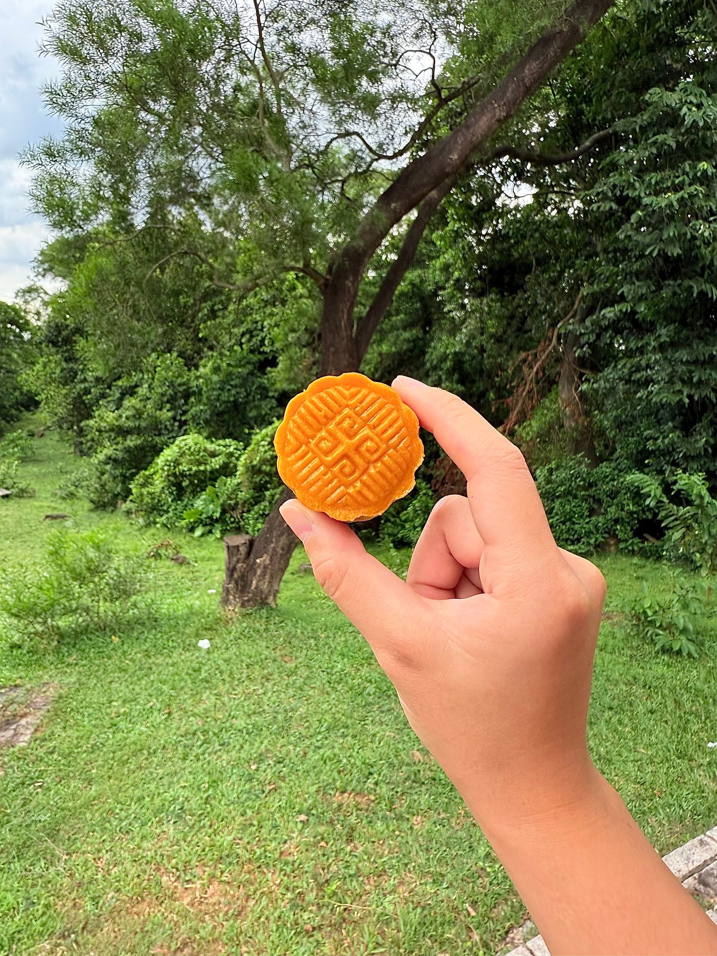 🎑月圓の寵物月餅禮盒🥮貓狗月餅
